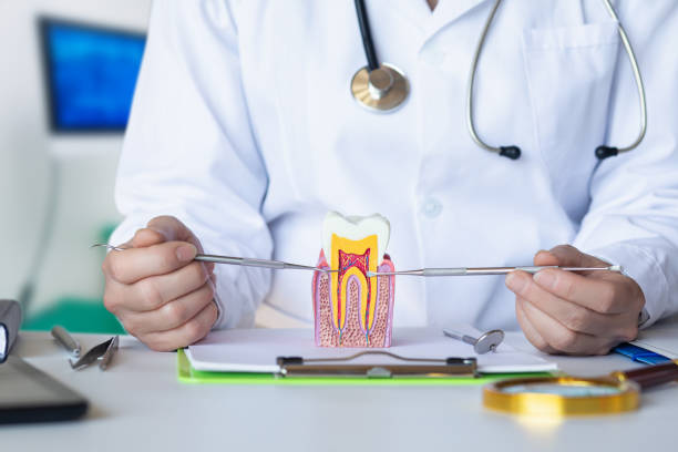 Best Root Canal Emergency Dentist  in El Dorado Hills, CA